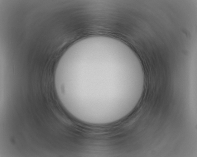 X0000114520215200910190956