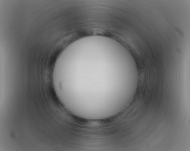 X0000114520218200910190956