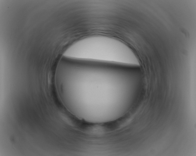 X0000114520219200910190956