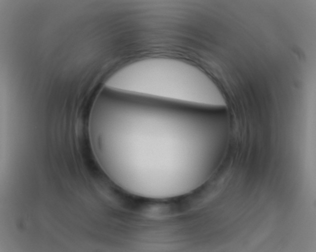 X0000114520220200910190956