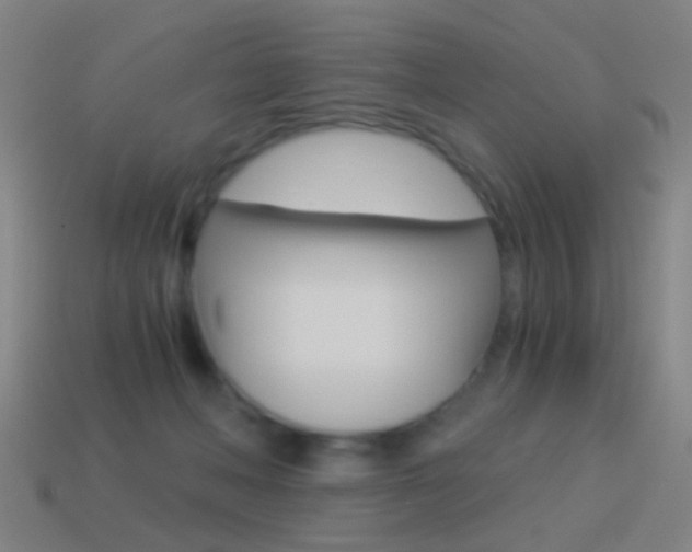 X0000114520222200910190956