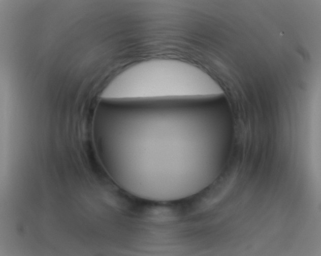 X0000114520224200910190956