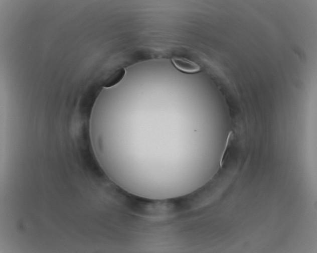 X0000114520225200910190956