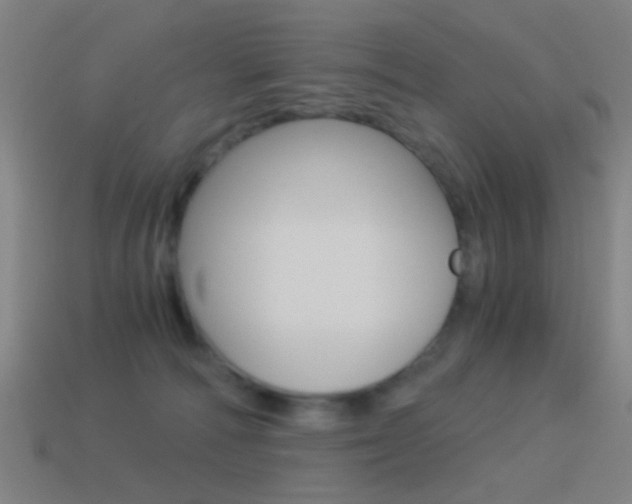 X0000114520226200910190956