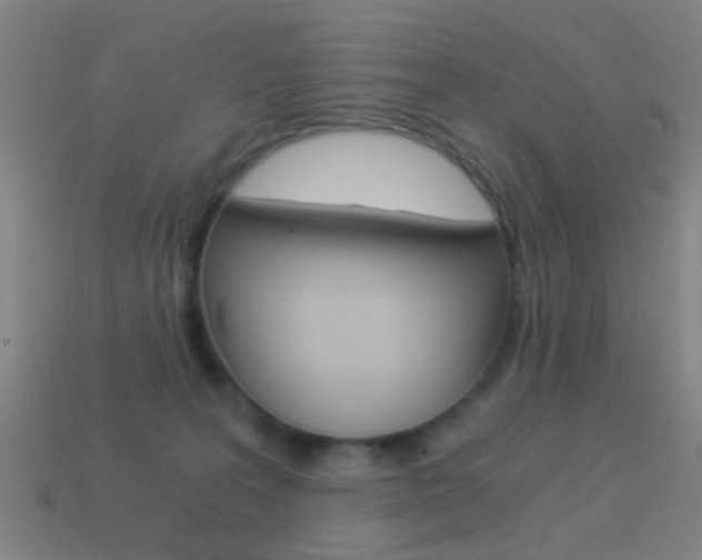 X0000114520227200910190956