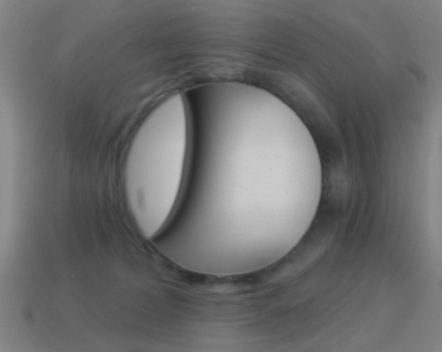X0000114520228200910190956