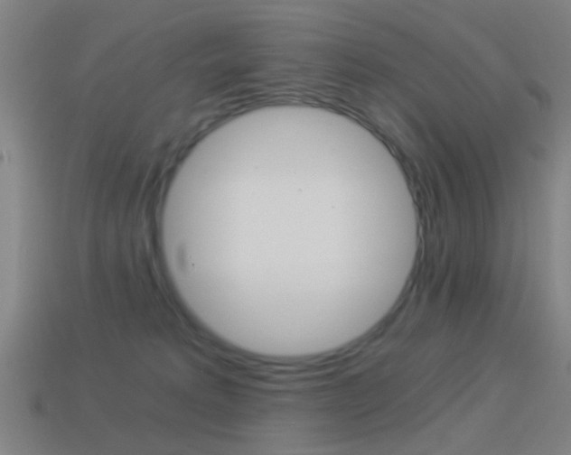 X0000114520229200910190956