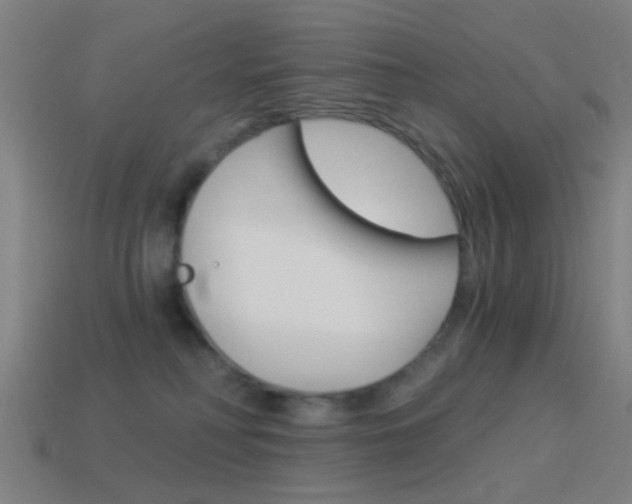 X0000114520230200910190956