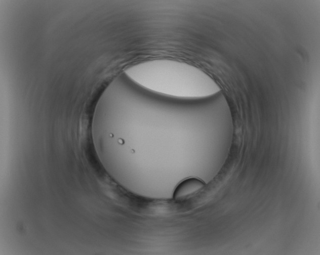 X0000114520231200910190956