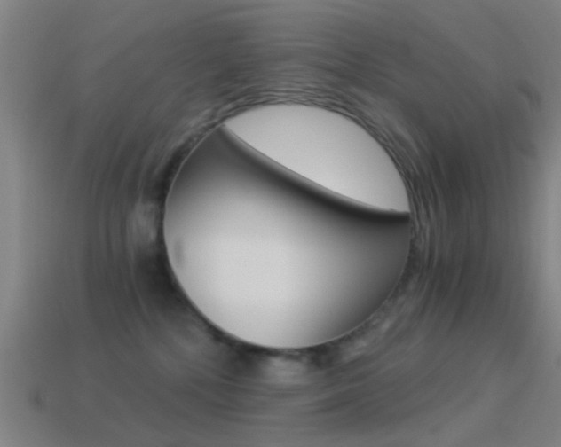 X0000114520232200910190956