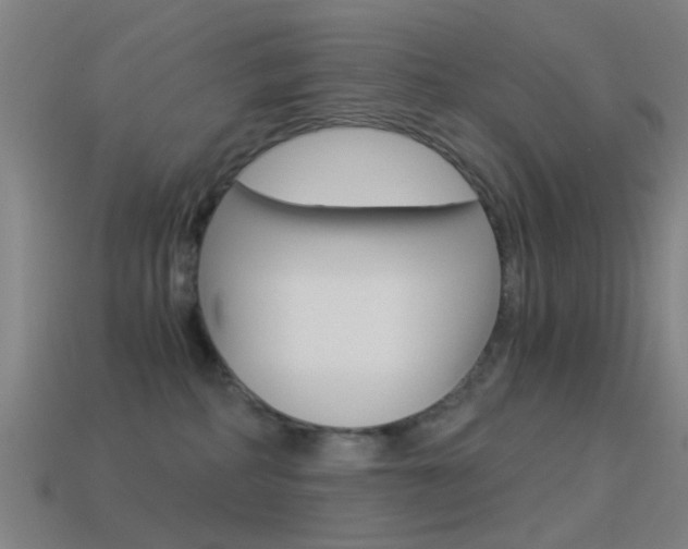 X0000114520234200910190956