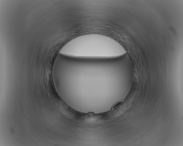 X0000114520235200910190956
