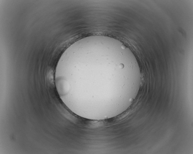 X0000114520238200910190956