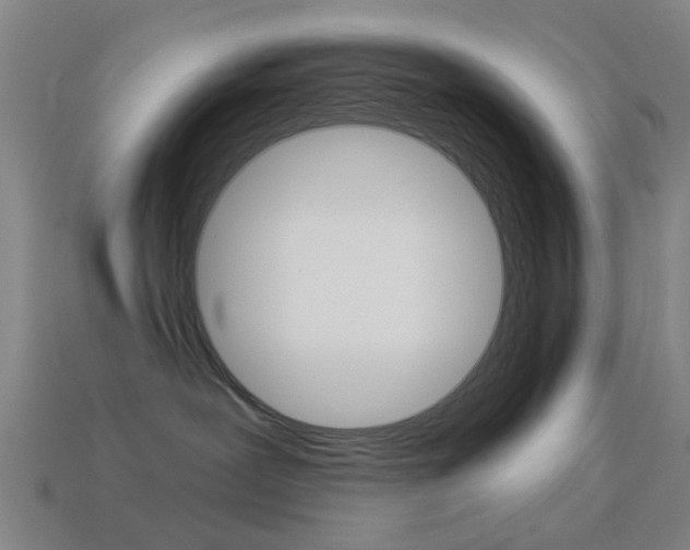X0000114520239200910190956