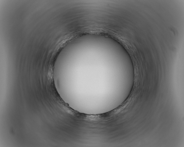 X0000114520240200910190956