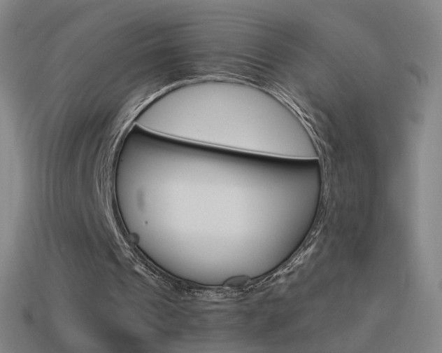 X0000114520241200910190955