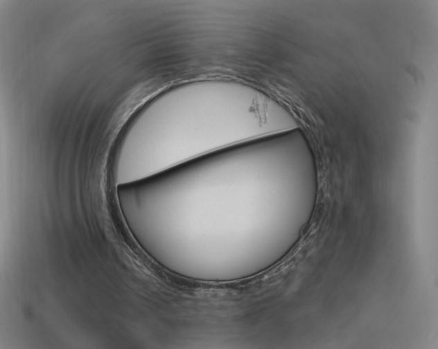 X0000114520242200910190955