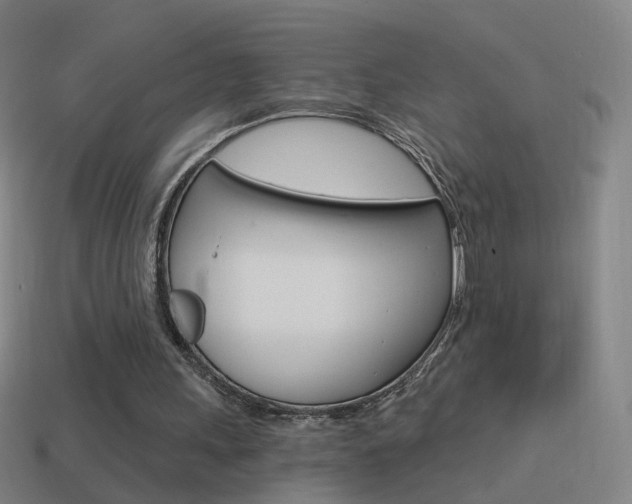 X0000114520243200910190955
