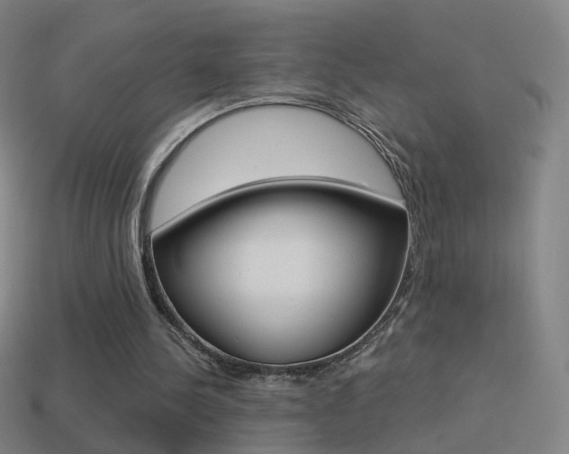 X0000114520244200910190955
