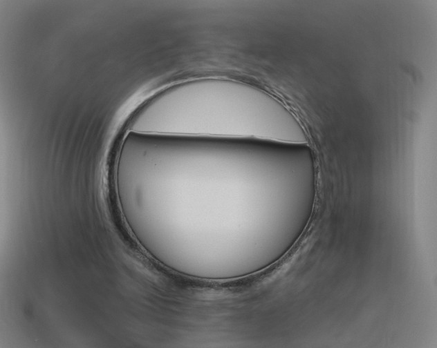 X0000114520246200910190955