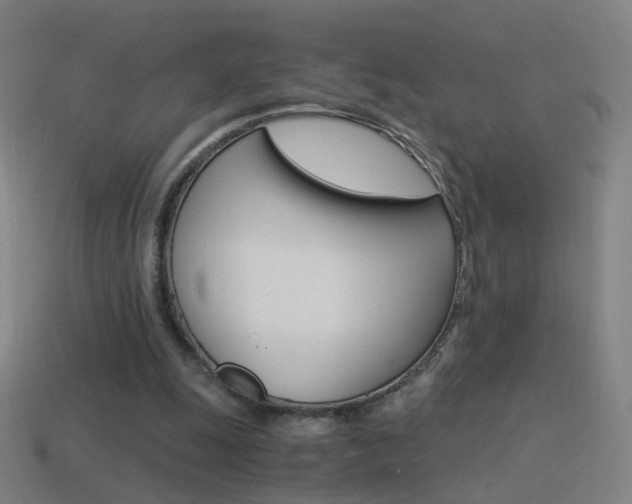 X0000114520247200910190955