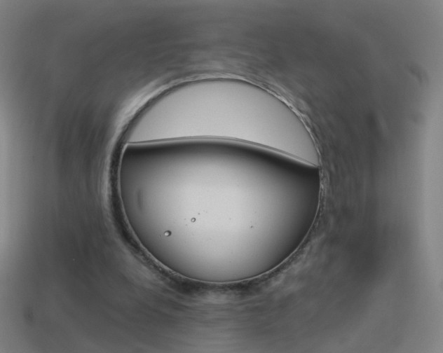 X0000114520248200910190955