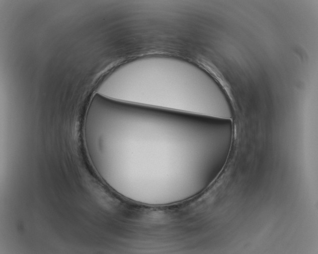 X0000114520249200910190955
