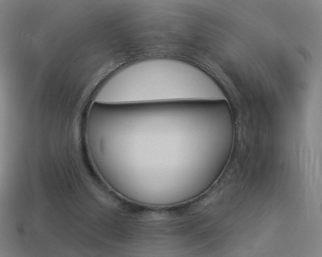 X0000114520250200910190955