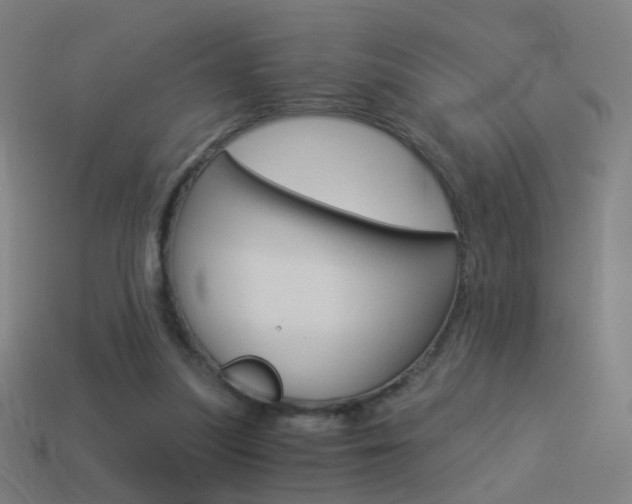 X0000114520251200910190955