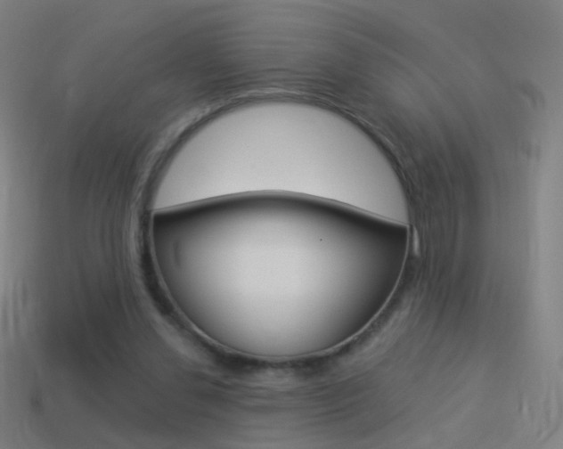 X0000114520252200910190955