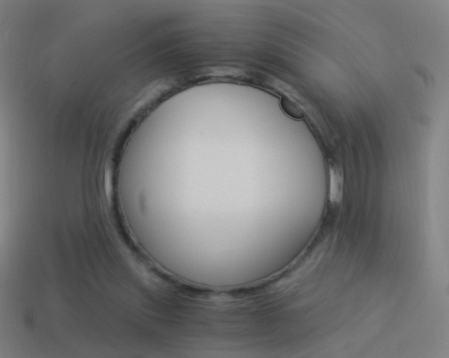 X0000114520253200910190955