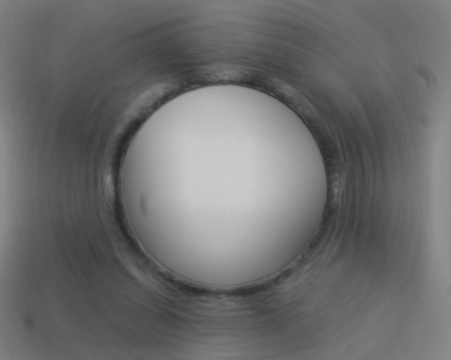 X0000114520254200910190955