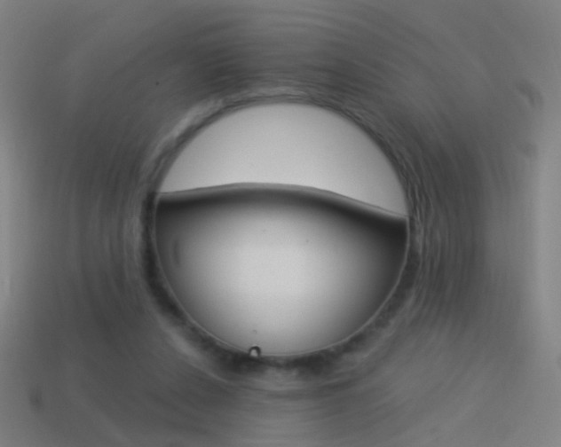 X0000114520256200910190955