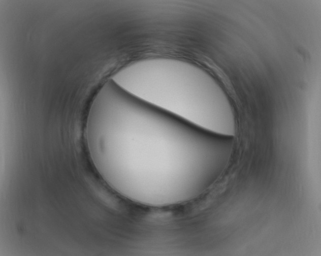 X0000114520257200910190955