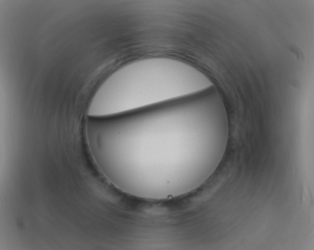 X0000114520258200910190955