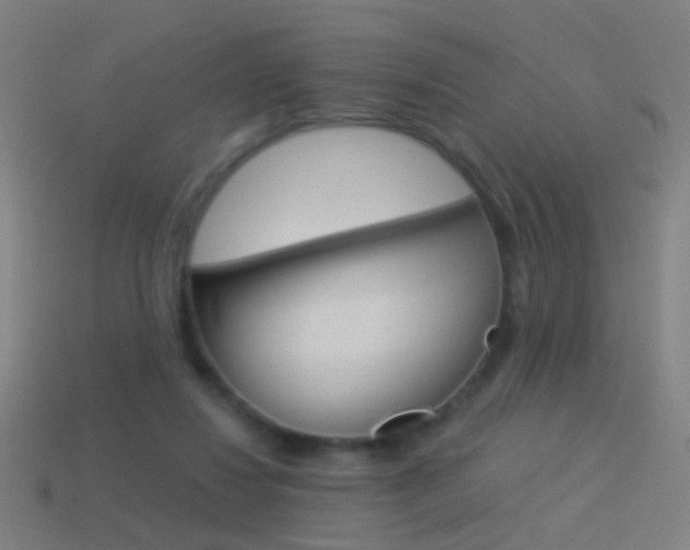 X0000114520260200910190955