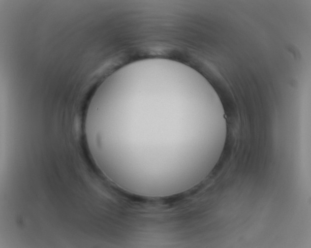 X0000114520262200910190955