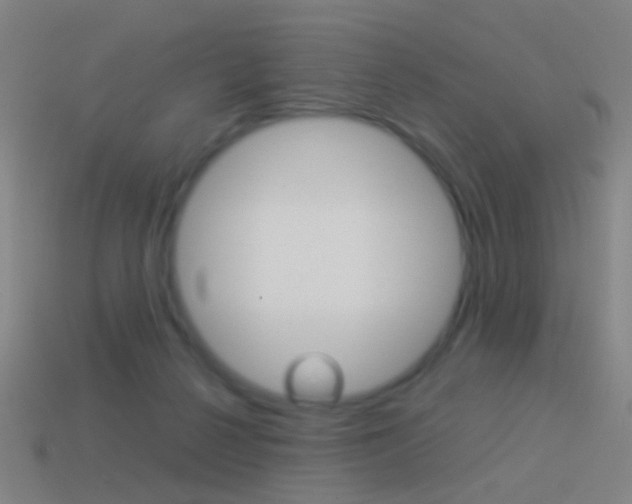 X0000114520264200910190955