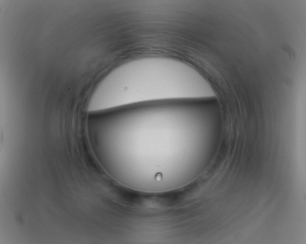 X0000114520268200910190956