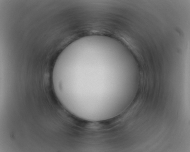 X0000114520269200910190956