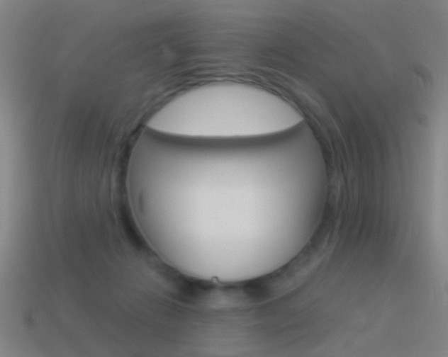 X0000114520270200910190956