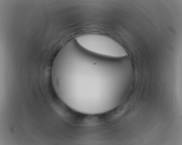 X0000114520271200910190956