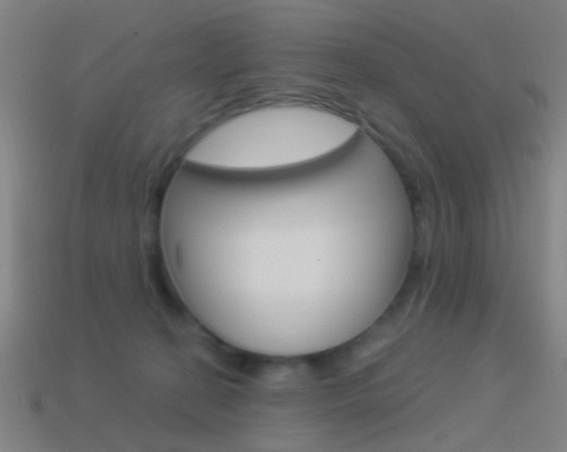 X0000114520274200910190956