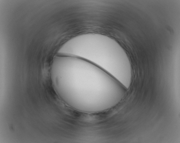 X0000114520276200910190956