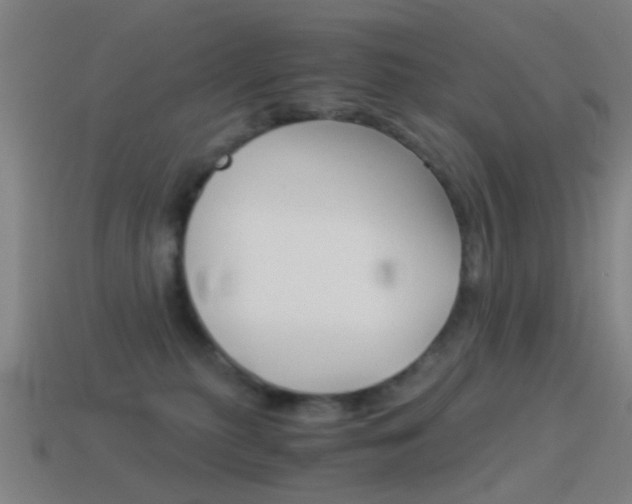 X0000114520279200910190956