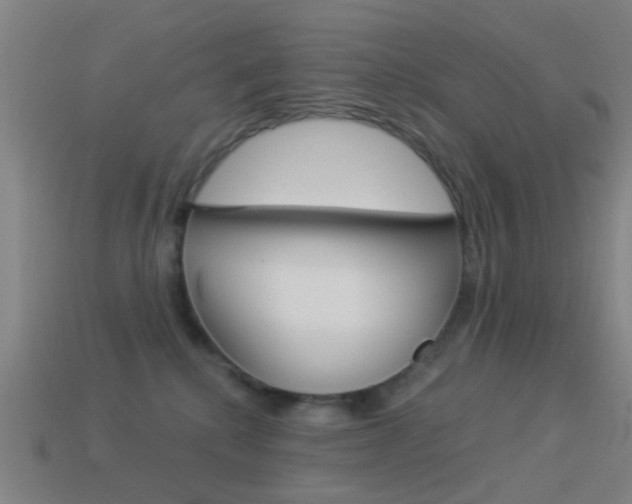 X0000114520280200910190956