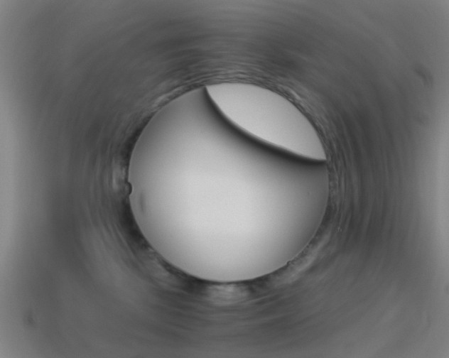X0000114520281200910190956