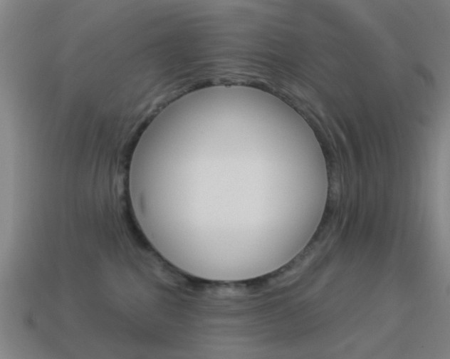 X0000114520282200910190956