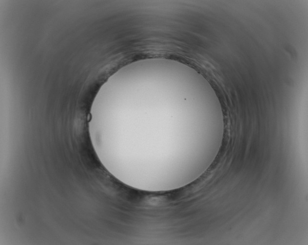 X0000114520283200910190956