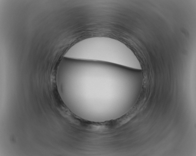 X0000114520284200910190956